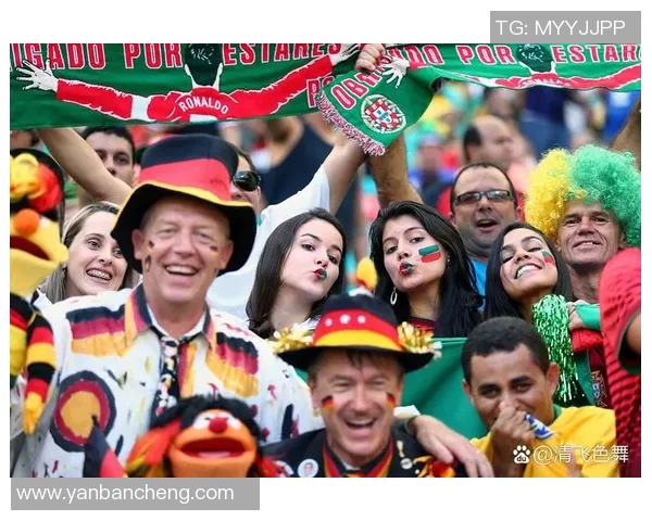 足球世界杯赛事文化与球迷热情反应的多维度探析与影响